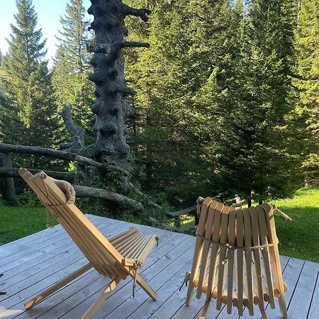 New Cosy In Nature - Krvavec Apartment *