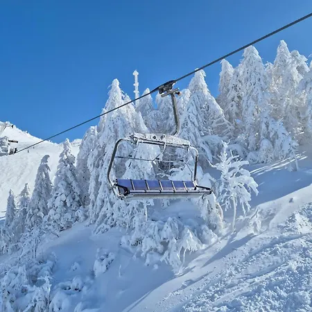 New Cosy In Nature - Krvavec