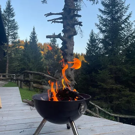 Apartamento New Cosy In Nature - Krvavec Cerklje na Gorenjskem