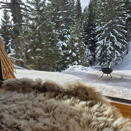 New Cosy In Nature - Krvavec سيركلجي نا جورينجسكيم