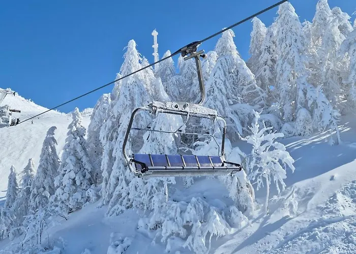 New Cosy In Nature - Krvavec